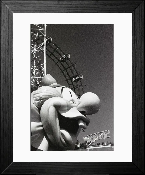 Framed Print : Riesenrad ferris wheel in an amusement park Framed Print : Riesenrad ferris wheel in an amusement park