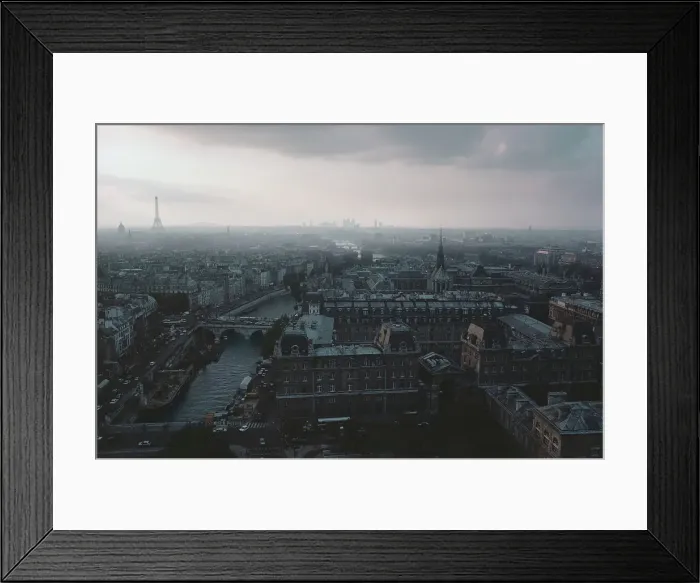 Framed Print : Aerial view of a city, Paris, Ile-de-France Framed Print : Aerial view of a city, Paris, Ile-de-France