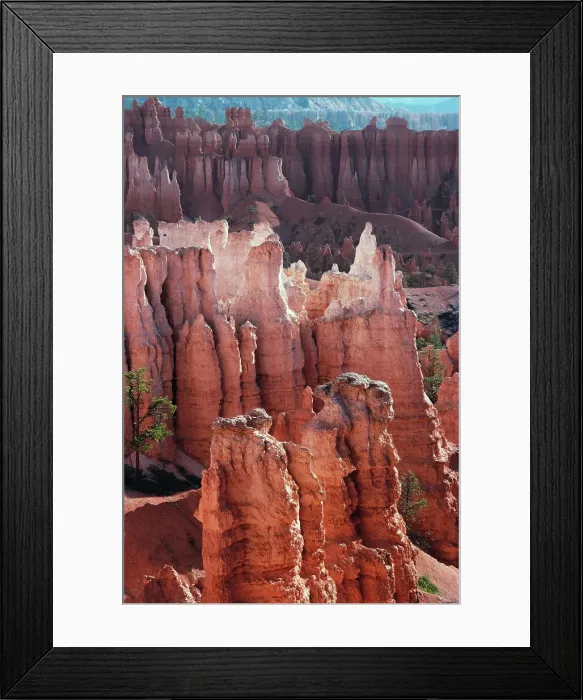 Framed Print : Eroded rocks in a canyon, Bryce Canyon National Park