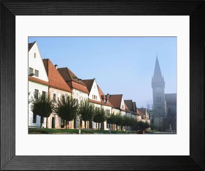 Framed Print : Treelined in front of row houses Framed Print : Treelined in front of row houses