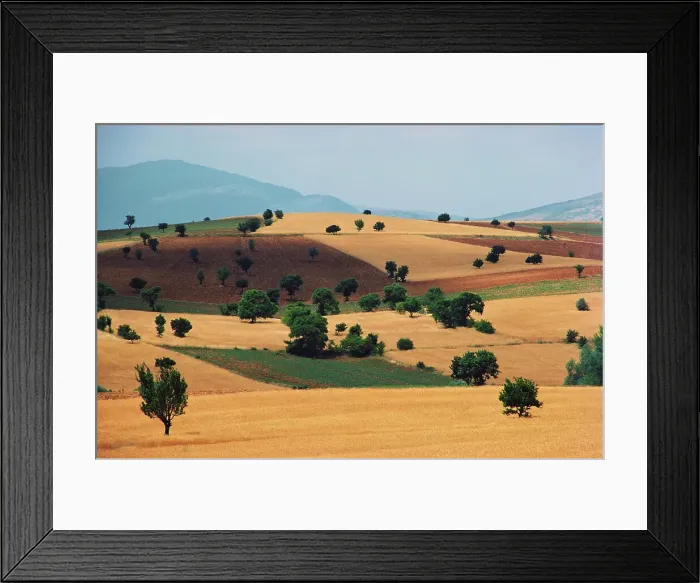 Framed Print : Trees in a hilly landscape, Turkey Framed Print : Trees in a hilly landscape, Turkey