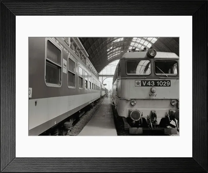 Framed Print : Trains at a railway station, Budapest, Hungary Framed Print : Trains at a railway station, Budapest, Hungary