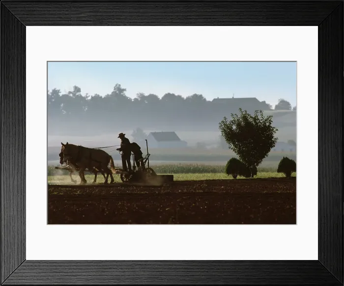 Framed Print : Men using horse drawn plow on Amish Farm Framed Print : Men using horse drawn plow on Amish Farm
