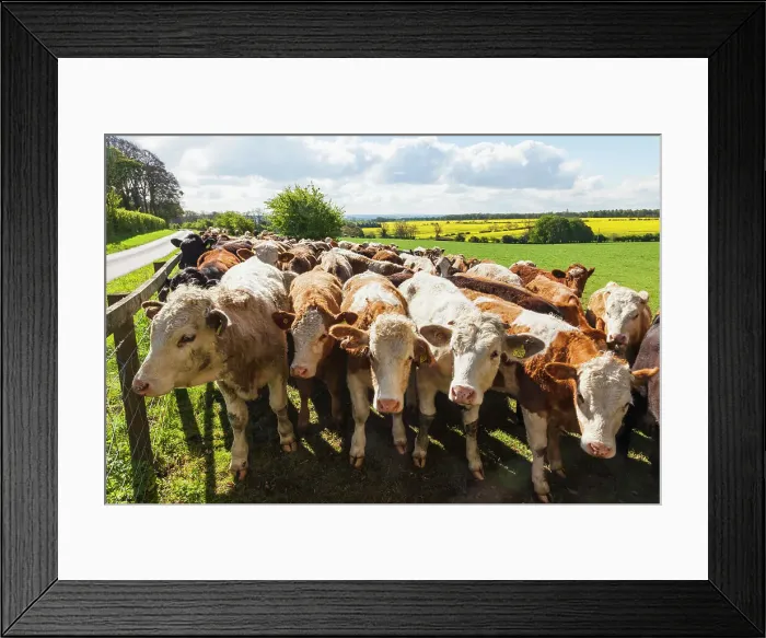 Framed Print : England, Cotswolds, Worcestershire