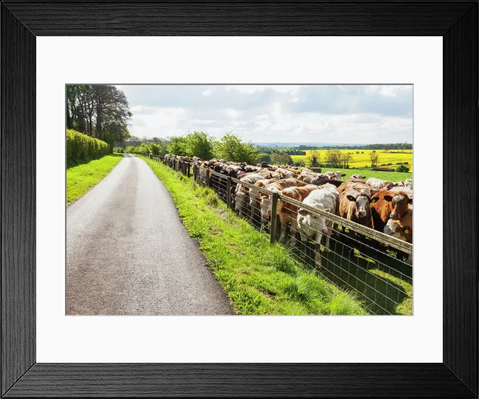 Framed Print : England, Cotswolds, Worcestershire Framed Print : England, Cotswolds, Worcestershire