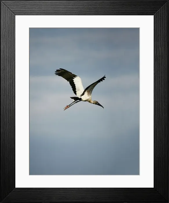 Framed Print : 4316, 4316-3157 Framed Print : 4316, 4316-3157