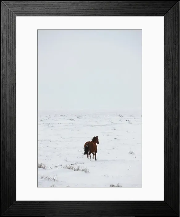 Framed Print : USA, Colorado, Eastern Plains of Colorado Framed Print : USA, Colorado, Eastern Plains of Colorado