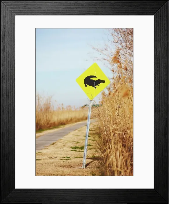 Framed Print : Alligator Crossing sign, Sabine National Wildlife Refuge
