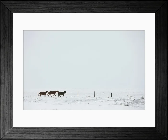 Framed Print : USA, Colorado, Eastern Plains of Colorado Framed Print : USA, Colorado, Eastern Plains of Colorado