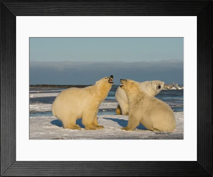 Framed Print : USA, Alaska, Brooks Range Framed Print : USA, Alaska, Brooks Range