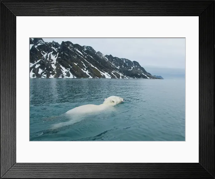 Framed Print : Norway, Svalbard Archipelago, Spitsbergen Framed Print : Norway, Svalbard Archipelago, Spitsbergen