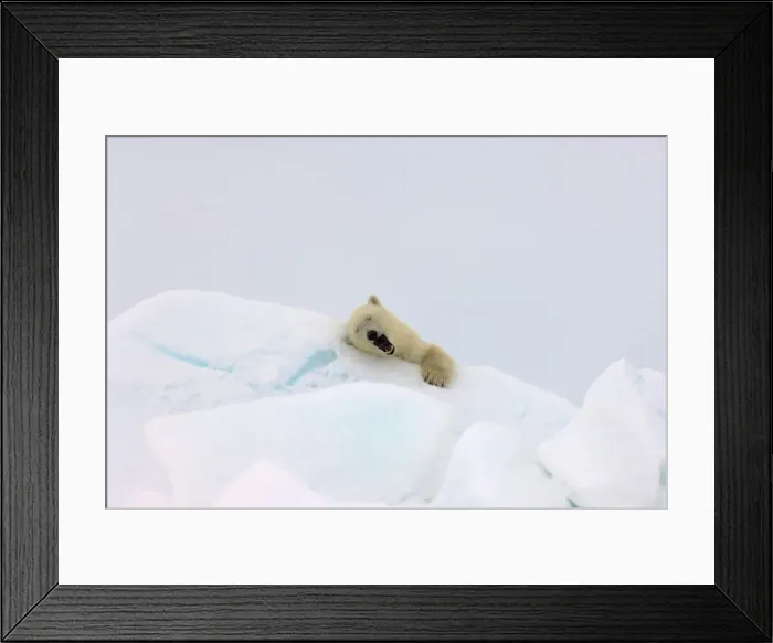 Framed Print : 4340, 4340-245
