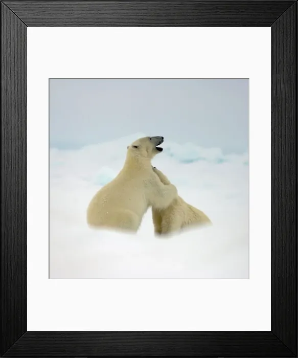 Framed Print : 4340, 4340-244 Framed Print : 4340, 4340-244