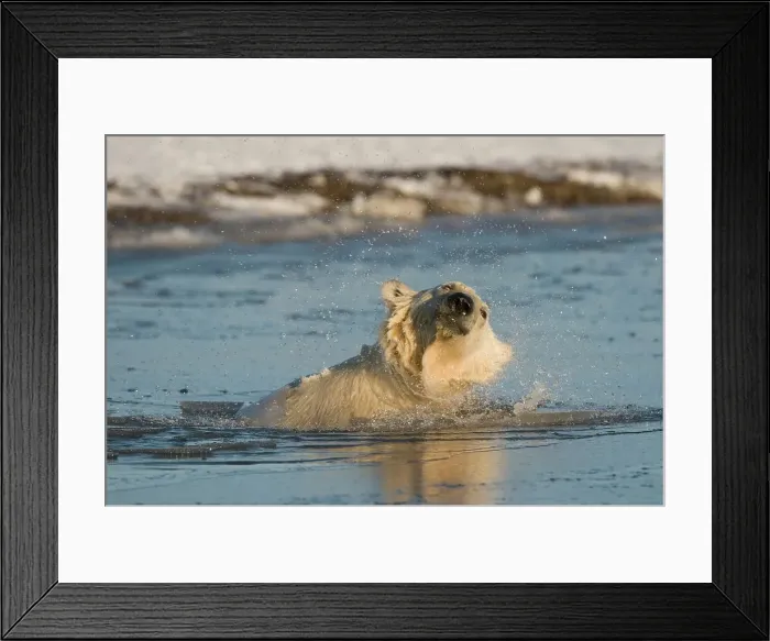 Framed Print : USA, Alaska, Brooks Range, Arctic National Wildlife Refuge