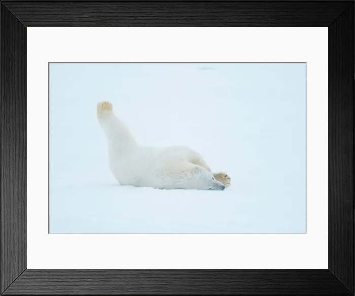 Framed Print : 4340, 4340-2686 Framed Print : 4340, 4340-2686