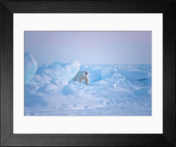 Framed Print : USA, Alaska, Chukchi Sea, offshore from Barrow