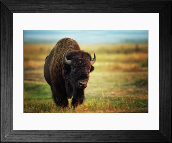 Framed Print : NIKON D800 AF VR Zoom 120-300mm F / 2.8G IF-ED Framed Print : NIKON D800 AF VR Zoom 120-300mm F / 2.8G IF-ED