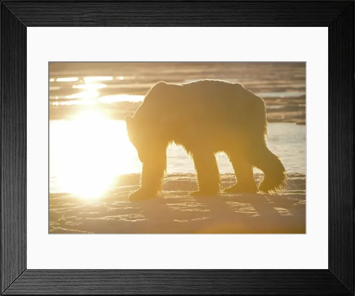 Framed Print : USA, Alaska, North Slope, Arctic National Wildlife Refuge Framed Print : USA, Alaska, North Slope, Arctic National Wildlife Refuge