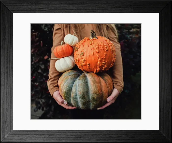 Framed Print : Close up of girl's arms holding a variety of pumpkins on fall day
