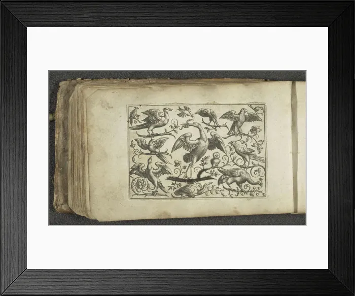 Framed Print : Crane and twelve other birds, 1596 - 1622 print A crane with spread wings on a branch Framed Print : Crane and twelve other birds, 1596 - 1622 print A crane with spread wings on a branch
