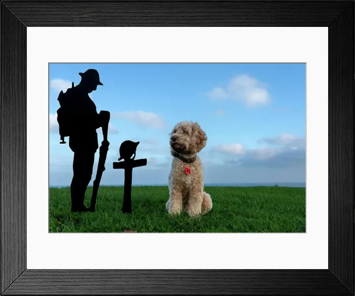 Framed Print : Dog sits at a Remembrance Day monument; South Shields, Tyne and Wear, England Framed Print : Dog sits at a Remembrance Day monument; South Shields, Tyne and Wear, England