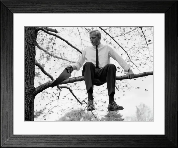 Framed Print : 1960S Businessman In Shirt And Tie Sitting On Tree Limb He'S Sawing Framed Print : 1960S Businessman In Shirt And Tie Sitting On Tree Limb He'S Sawing
