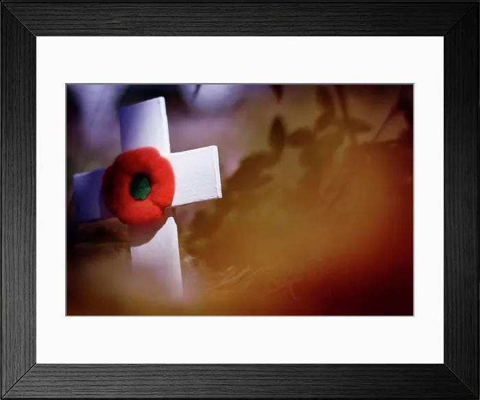 Framed Print : Remembrance Day Framed Print : Remembrance Day