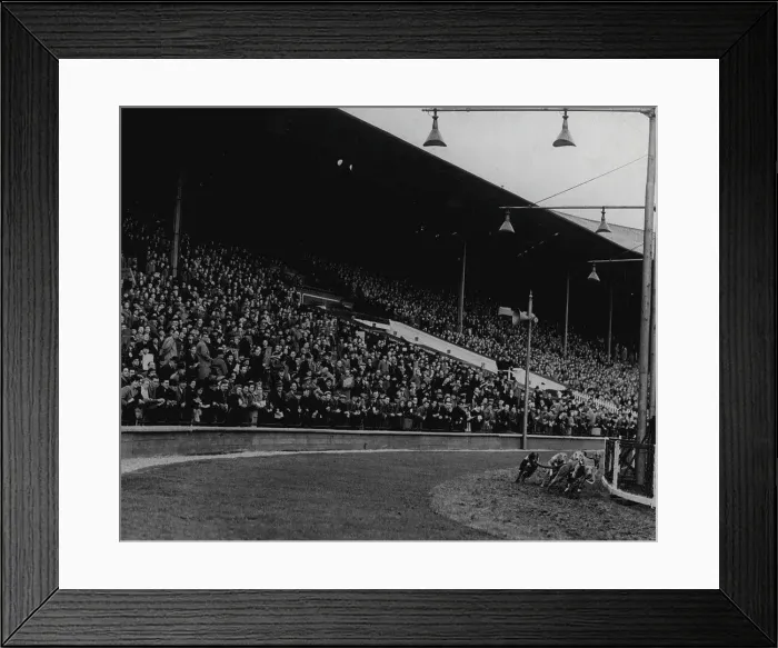 Framed Print : The dogs turning into the straight at Wembley Stadium while the thousands watch and wait. September 2, 1947 Framed Print : The dogs turning into the straight at Wembley Stadium while the thousands watch and wait. September 2, 1947