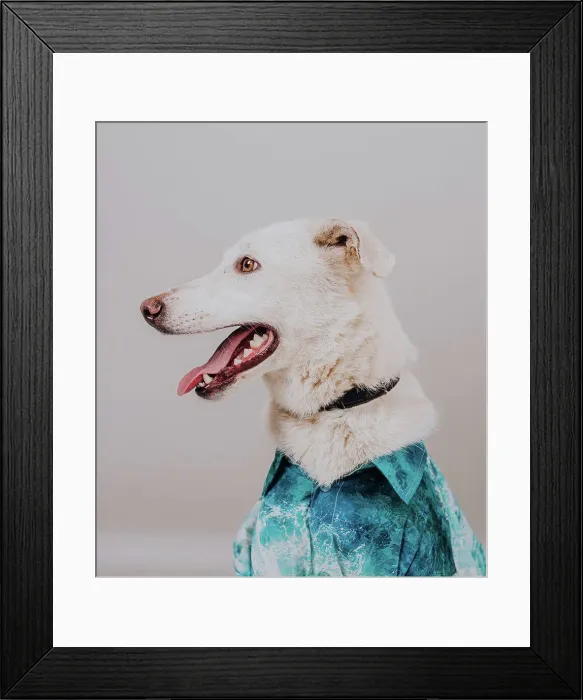 Framed Print : dog in shirt and hat Framed Print : dog in shirt and hat