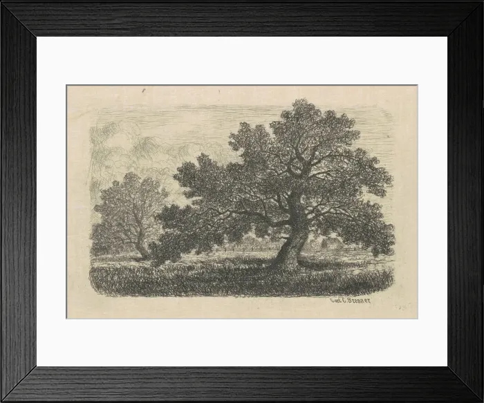 Framed Print : Carl C Brenner, Apple Trees, 1870s 1880s Apple Trees