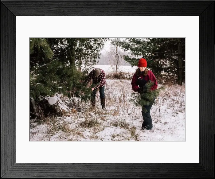 Framed Print : Teenages in Snow covered Pines Gathering Pine Branches Framed Print : Teenages in Snow covered Pines Gathering Pine Branches