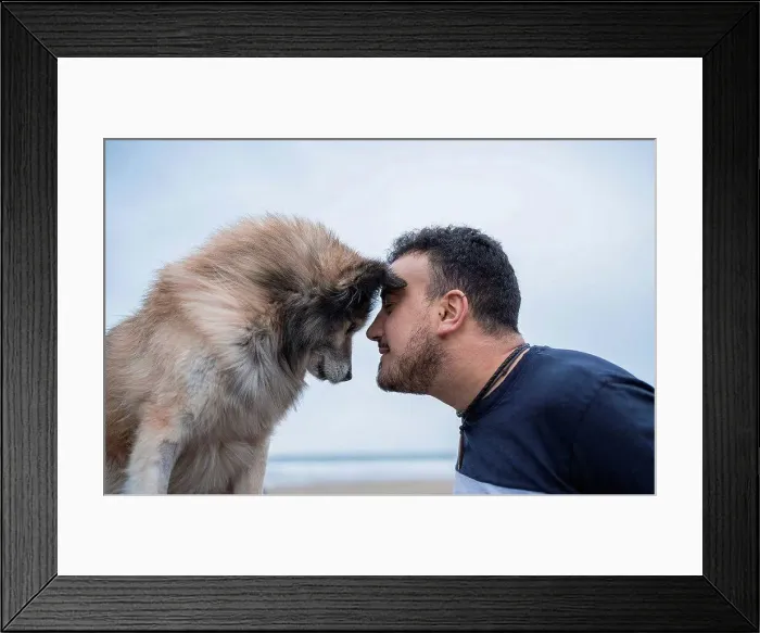 Framed Print : Mid adult man head to head with dog at beach against sky Framed Print : Mid adult man head to head with dog at beach against sky