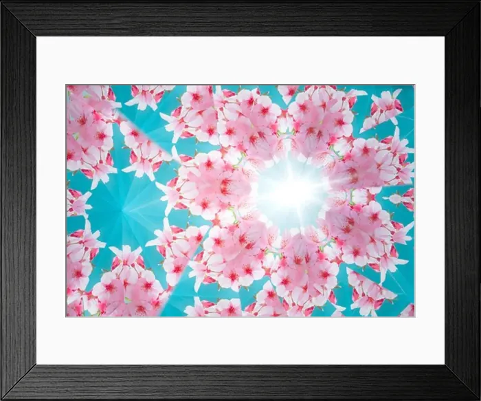 Framed Print : Kaleidoscope
