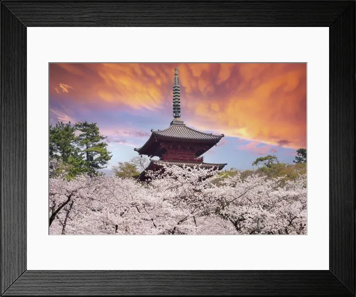 Framed Print : Pretty and lovely pink cherry blossoms wallpaper background Framed Print : Pretty and lovely pink cherry blossoms wallpaper background