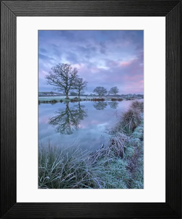 Framed Print : Frosty winter morning beside a rural pond, Morchard Road, Devon, England, United Kingdom, Europe