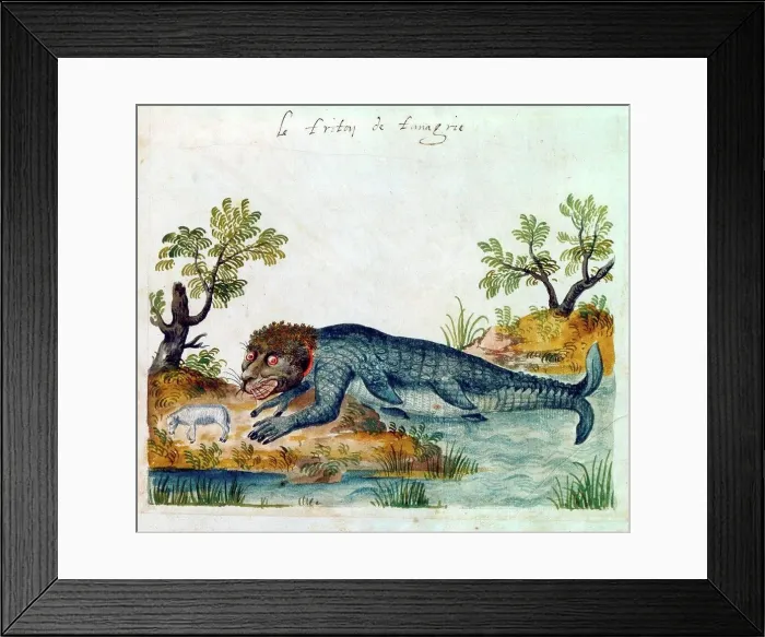 Framed Print : Triton; a mythological Greek god Framed Print : Triton; a mythological Greek god