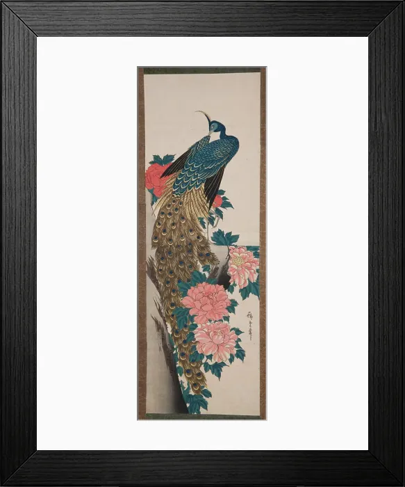 Framed Print : Peacock and peony flowers / Botan than Kujaku HIROSHIGE, UTAGAWA (1797 1858) Framed Print : Peacock and peony flowers / Botan than Kujaku HIROSHIGE, UTAGAWA (1797 1858)
