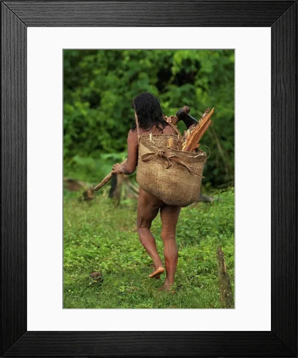 Framed Print : Huaorani Indians, Yasuni National Park, Amazon rainforest, Ecuador, South America Framed Print : Huaorani Indians, Yasuni National Park, Amazon rainforest, Ecuador, South America