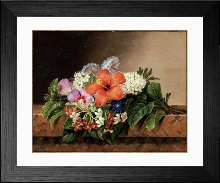 Framed Print : Hibiscus, Mallows, Tibouchina And Jasmine On A Marble Ledge S Framed Print : Hibiscus, Mallows, Tibouchina And Jasmine On A Marble Ledge S