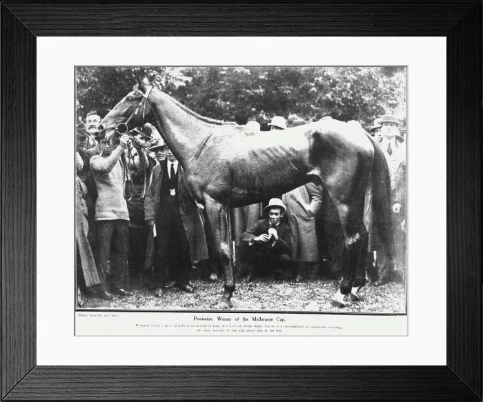 Framed Print : Posinatus, Winner of the Melbourne Cup