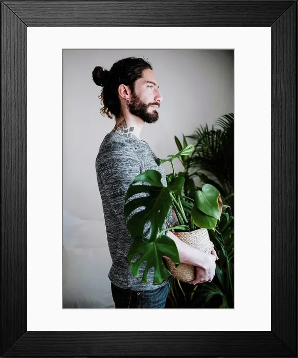 Framed Print : Young man looking away while holding Monstera plant at home Framed Print : Young man looking away while holding Monstera plant at home