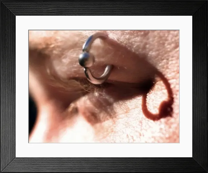 Framed Print : Piercied Eyebrow Framed Print : Piercied Eyebrow