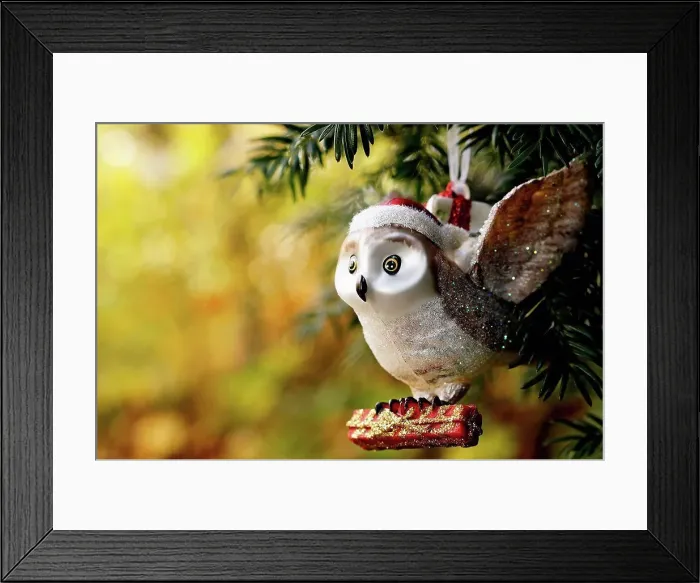 Framed Print : Germany, Minden, christmas bauble, owl with present Framed Print : Germany, Minden, christmas bauble, owl with present
