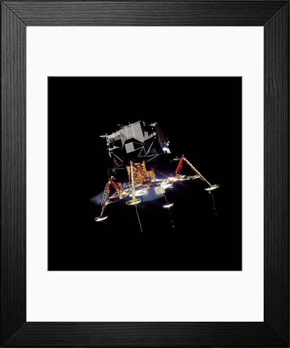 Framed Print : The Eagle Landing Framed Print : The Eagle Landing