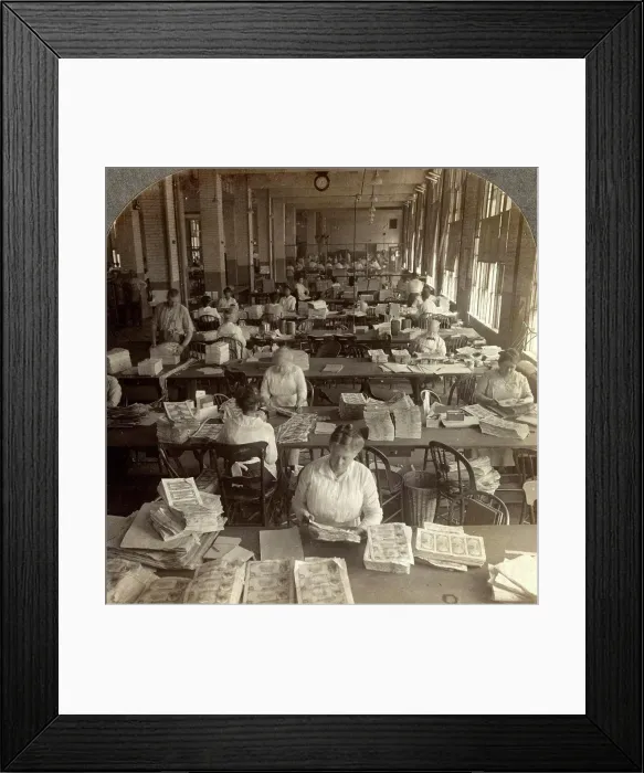 Framed Print : Inspecting sheets of paper money Framed Print : Inspecting sheets of paper money