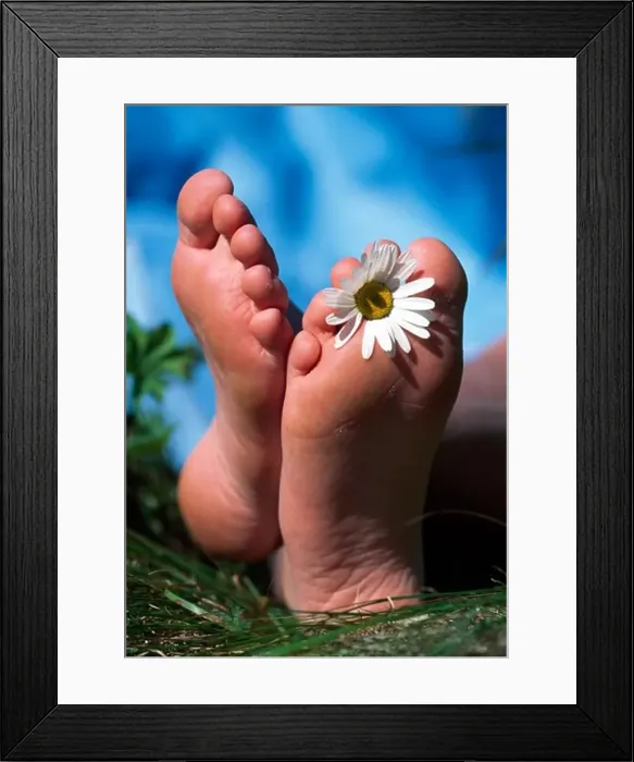 Framed Print : Close-up of a Daisy flower between toes of a woman Framed Print : Close-up of a Daisy flower between toes of a woman