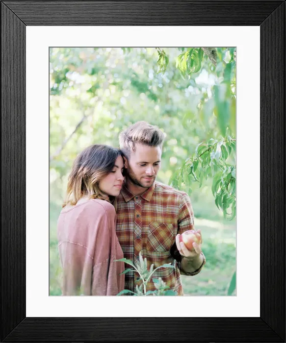 Framed Print : An apple orchard in Utah. A couple standing by an apple tree, holding an apple Framed Print : An apple orchard in Utah. A couple standing by an apple tree, holding an apple