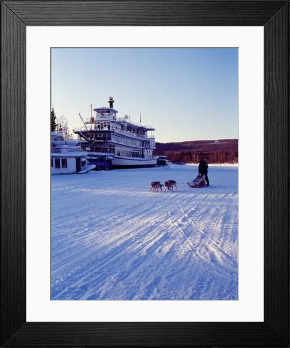 Framed Print : Musher Larry Dodge running his dogs down the frozen Chena River past the Riverboat Discovery III, Fairbanks, Alaska Framed Print : Musher Larry Dodge running his dogs down the frozen Chena River past the Riverboat Discovery III, Fairbanks, Alaska