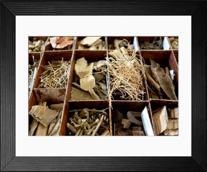 Framed Print : Box containing different ayurvedic plants at the Surya Lanka Ayurveda Beach Resort Framed Print : Box containing different ayurvedic plants at the Surya Lanka Ayurveda Beach Resort