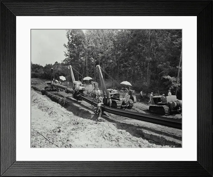 Framed Print : License this image at https: / / www.superstock.com / asset / 255-20279840 Framed Print : License this image at https: / / www.superstock.com / asset / 255-20279840